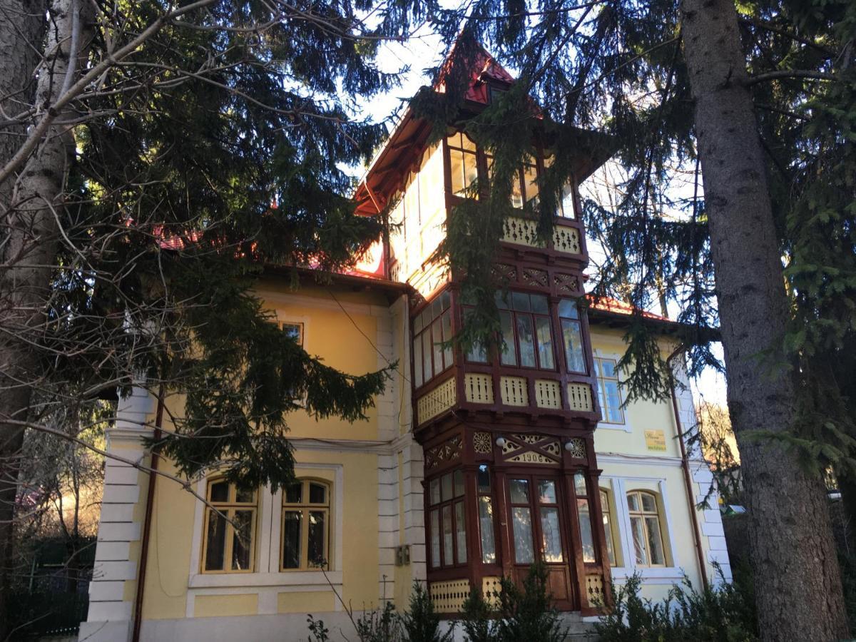 Vila Flavia Sinaia Exteriör bild