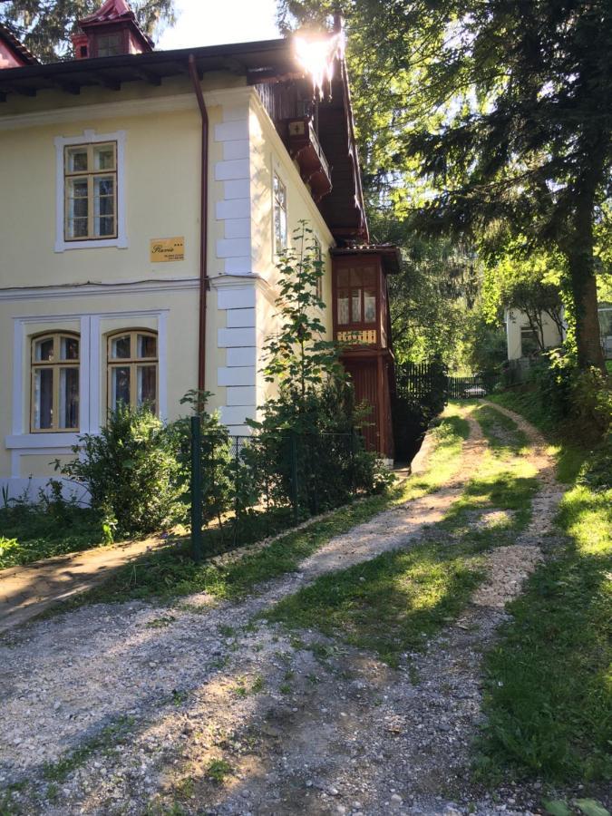 Vila Flavia Sinaia Exteriör bild