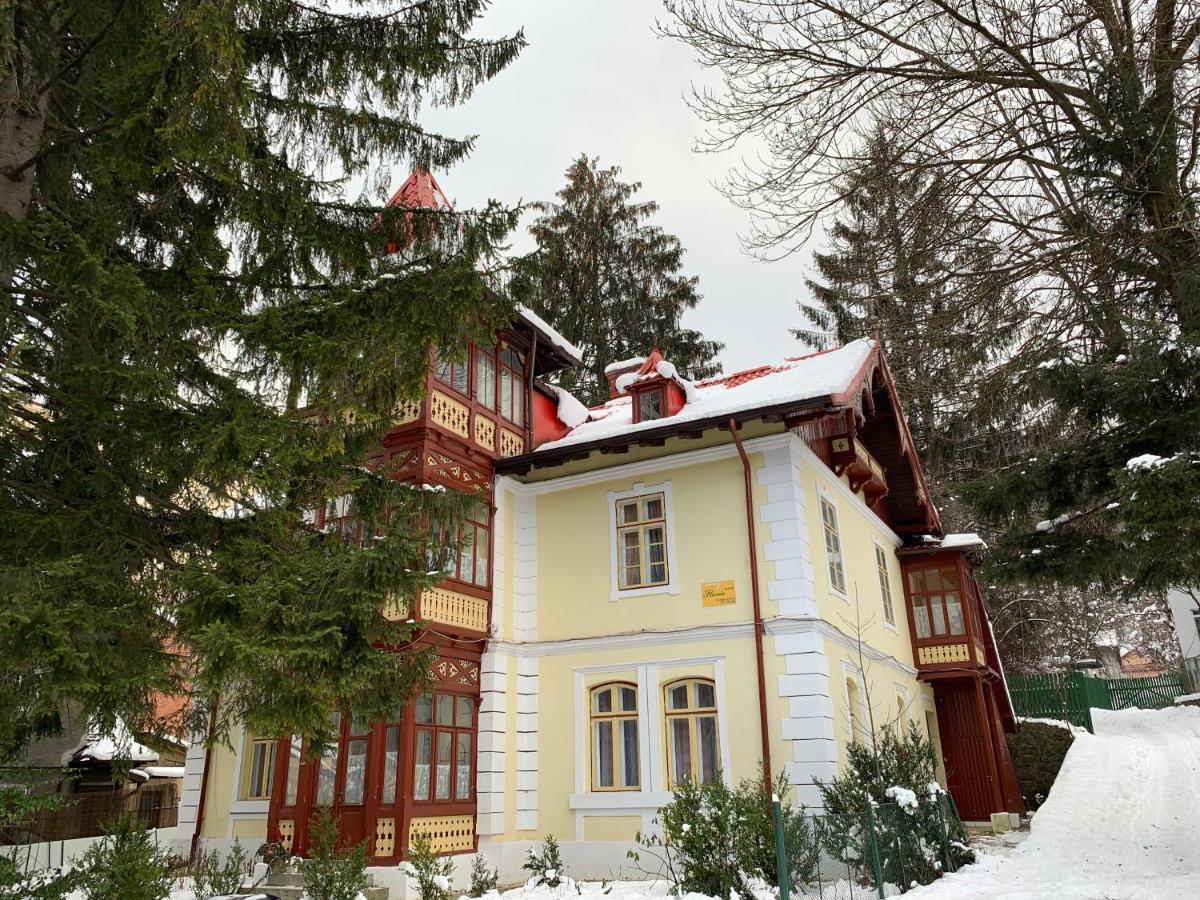Vila Flavia Sinaia Exteriör bild