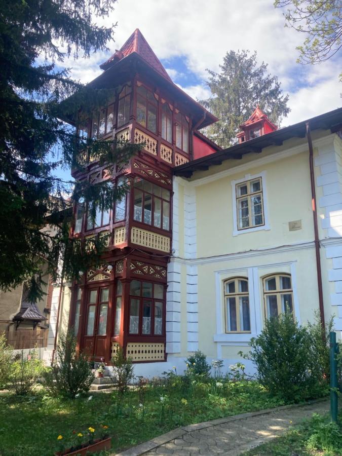 Vila Flavia Sinaia Exteriör bild