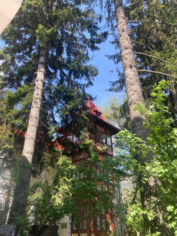 Vila Flavia Sinaia Exteriör bild